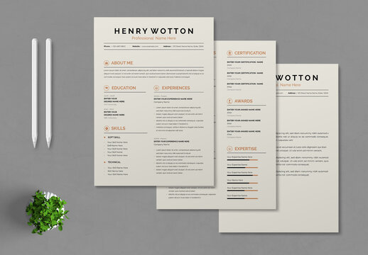 Clean Resume Layout