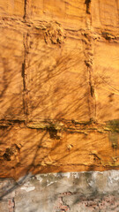 Sombra de árbol sobre fachada con aislante