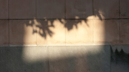 Sombra de arbol en pared 