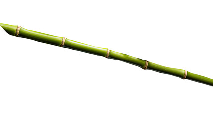 Fototapeta premium Bamboo. Isolated on Transparent background.
