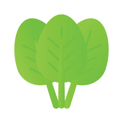 Carefully crafted spinach vector design, ready to use vector