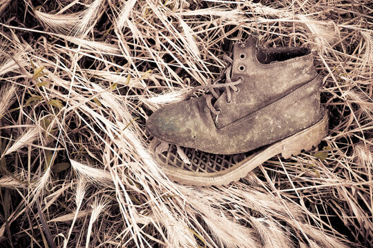 Old broken boot abandoned in a grass carpet