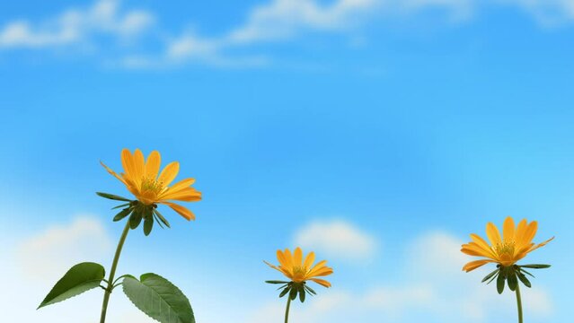 flowers Waving in Breeze
ideal for text and title screen animation