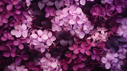 Obraz premium Abstract pastel purple and pink lilac flowers close up. Summer minimal floral background.