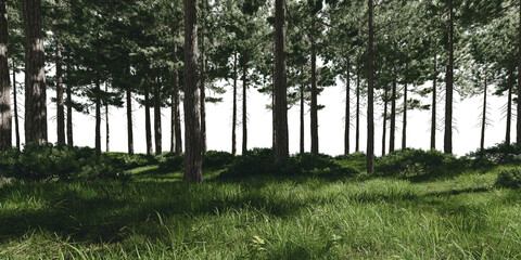 Forest with meadow. 3d rendering of isolated objects.