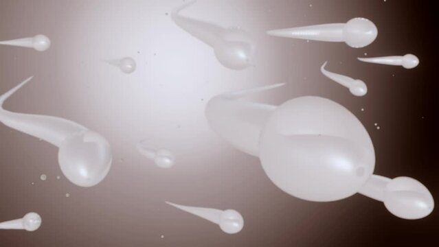 3d animation of swimming sperm cells in the black background