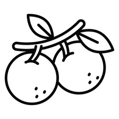 An amazing icon of longan in modern style, ready to use icon