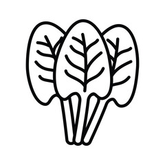An Amazing icon of sorrel, bunch of sorrel leaves, trendy vector