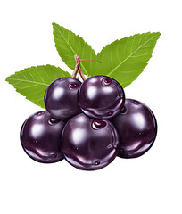 Bountiful Berries: Nature's Colorful Delights on a Transparent Background