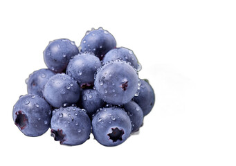 Bountiful Berries: Nature's Colorful Delights on a Transparent Background