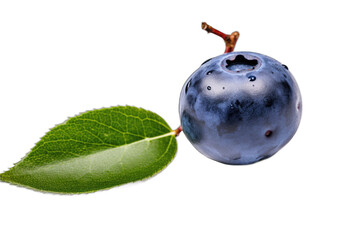 Bountiful Berries: Nature's Colorful Delights on a Transparent Background
