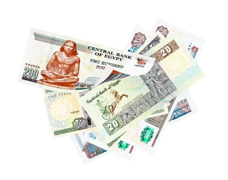 Egyptian pounds. Image isolated on white background 