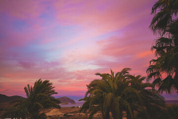 Fototapeta na wymiar Seascape with palm trees in the early morning. Beautiful sunrise in Cabo de Gata in Spain, Europe