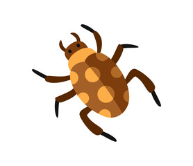Cute wild insect. Funny garden or wild animal. Sticker with small spotted cockroach. Icon with child drawn bug or beetle. Cartoon flat vector illustration isolated on white background