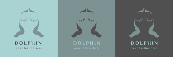 Dolphin logo vector