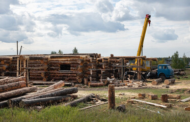 Obraz premium Timber Harvesting For Lumber Industry Or Wooden Housing Construction Concept. Large Woodpile From Sawn Debarked Pine Wood Logs