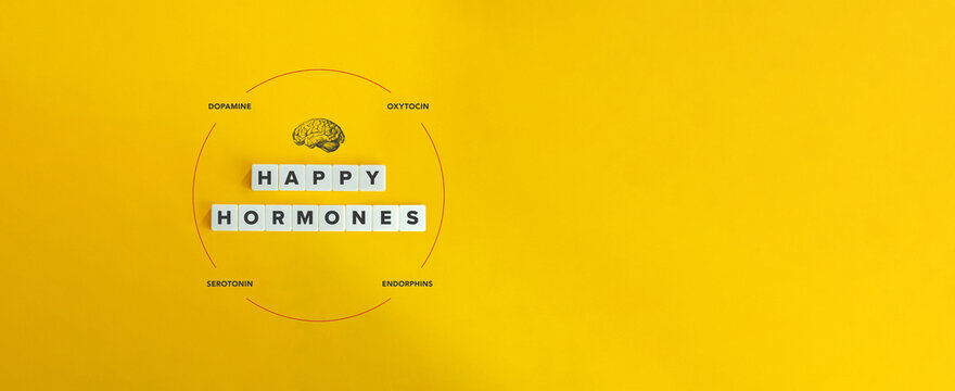 Happy Hormones, Brain Chemistry, Positive Emotions Banner and Concept Image. Dopamine, Oxytocin, Serotonin, and Endorphins aka D.O.S.E. Letter Tiles on Yellow Background. Minimalist Aesthetics.