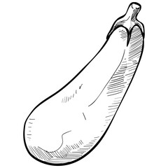 eggplant handdrawn illustration