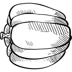 pumpkin handdrawn illustration