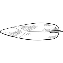 surfboard handdrawn illustration