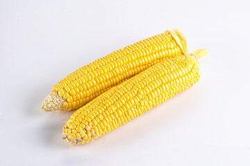 Sweet yellow raw corn cob