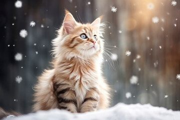 Portrait of cute fluffy little ginger kitten against background of snow. Falling snowflakes, kitten in winter. Beautiful card with cat