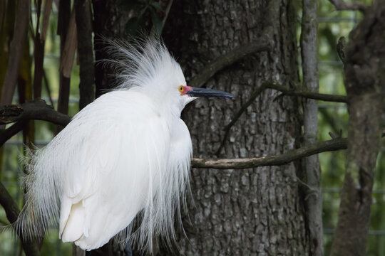 rope with pully for a boat