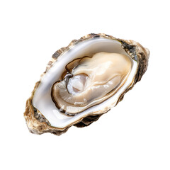 Single fresh oyster isolated on transparent background. AI generated.