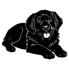 Friendly borador dog resting silhouette illustration, Borador dog resting Logo Monochrome Design, Generative AI.