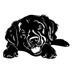 Friendly borador dog resting silhouette illustration, Borador dog resting Logo Monochrome Design, Generative AI.