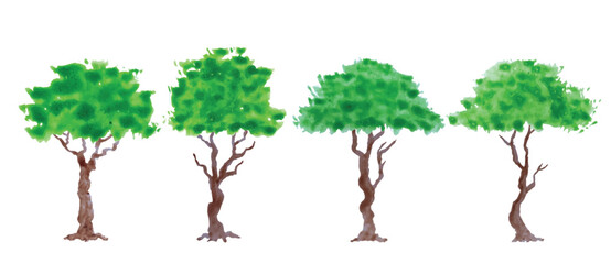 Hand drawn tree watercolor vector illustration on white background.