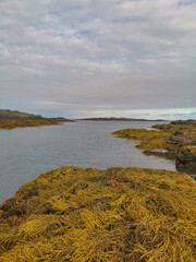 The rocky coast of the Barents Sea. Beautiful view of the rocks and the coast of the Rybachy and Sredny peninsulas, Murmansk region, Russia. The landscape is the harsh beauty of the north.