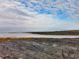 The rocky coast of the Barents Sea. Beautiful view of the rocks and the coast of the Rybachy and Sredny peninsulas, Murmansk region, Russia. The landscape is the harsh beauty of the north.