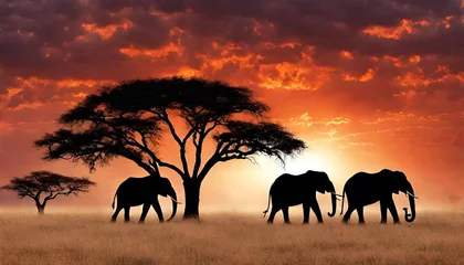 Wandcirkels aluminium elephants at sunset © Bilal