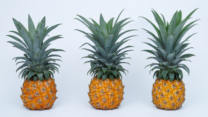 Close up pineapples isolated on white background with clipping path.. Honey pineapples fruit isolated on white with clipping path.