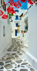 an alley in greece with flowers growing out of the white walls