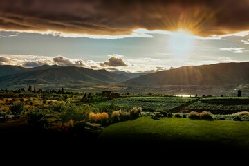 Picturesque sunset over vineyards in the Naramata Bench area of Penticton B.C. Canada