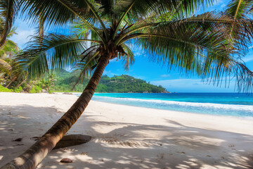 Tropical Beach. Beautiful sandy beach with palms and turquoise sea. Summer vacation and tropical beach concept.