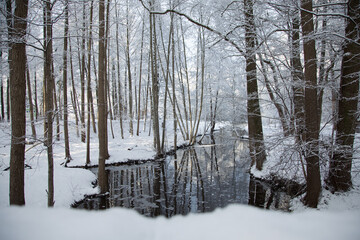 Winter landscape of a river with trees in the snow.