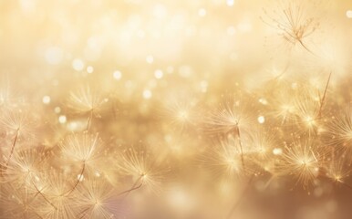 a big colorful fireworks light to the night