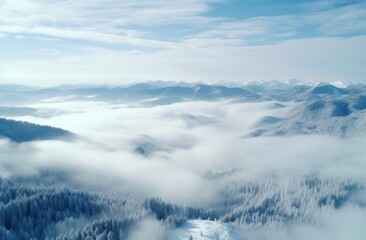 Fototapeta na wymiar aerial view of a winter scene including winter trees
