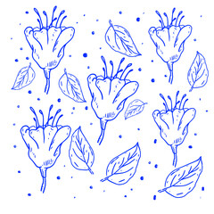 Naklejka premium Flower shapes vector illustration