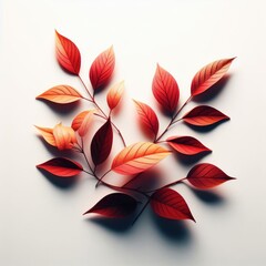 autumn leaves on a white background