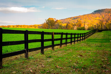 Sunlight shines on Sugarloaf Mountain behind a field of green grass lined by a long wooden fence.