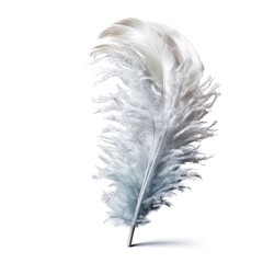 White Feather