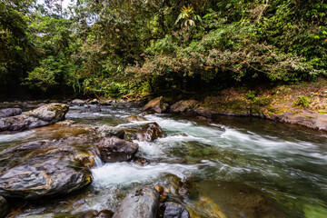 Andean choco river