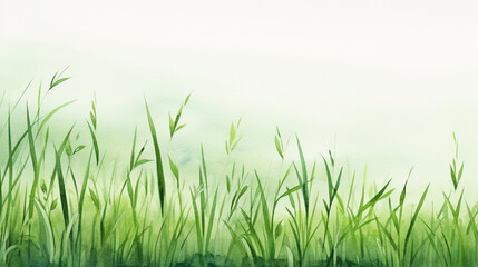 Watercolor sketch with green grass
