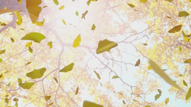 ヒラヒラ舞い落ちてくる黄色いイチョウの葉のシームレスなループアニメーション動画
