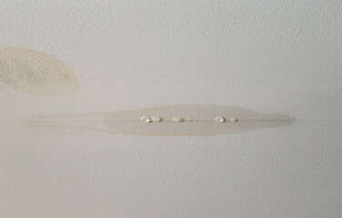 Water is leaking from drywall ceiling in home room, water damage. Water dripping from crack. - obrazy, fototapety, plakaty