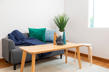 Modern living room with blue and green pillow on sofa. Coffee table with plant pot and ceramic vase.
